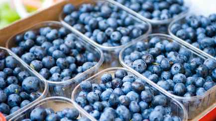 В 3 раза дешевле. Нашли, где в Беларуси продают голубику за 20 рублей вместо 60