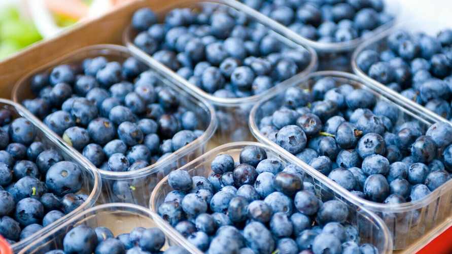 В 3 раза дешевле. Нашли, где в Беларуси продают голубику за 20 рублей вместо 60