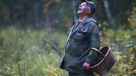 В МВД призвали белорусов не искать потерявшихся в лесу родственников. А что делать?