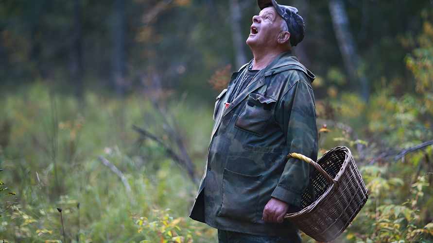 Фото иллюстрационное