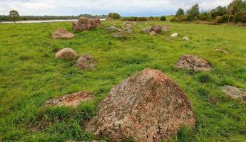 Где находится настоящий белорусский Стоунхендж? Вот как выглядят эти «дивные камни»