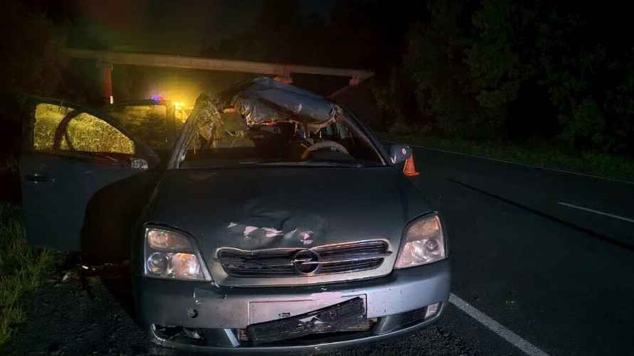 Фото: ГАИ УВД Гомельского облисполкома