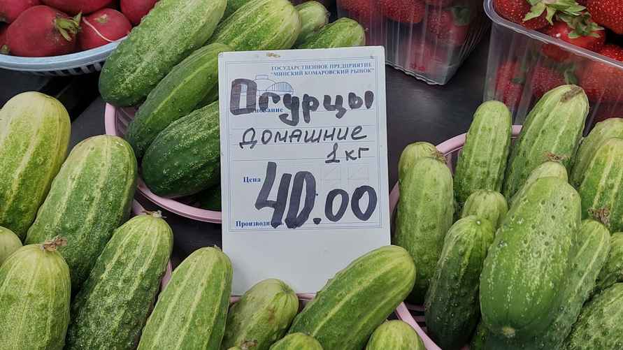 Фото: Екатерина Асомчик