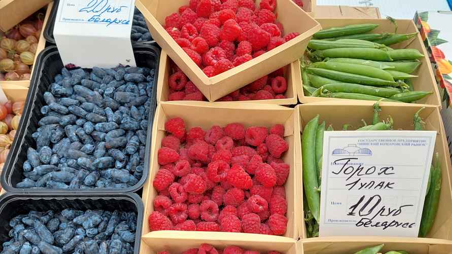 Фото: Екатерина Асомчик