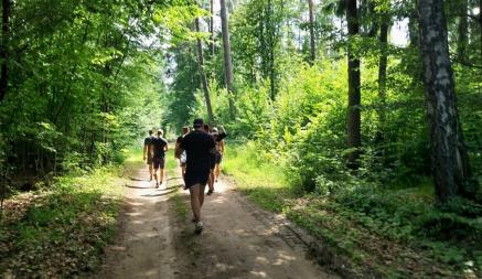 «Боятся за свою безопасность» — Поляки начали организовывать «прогулки» в приграничные с Беларусью леса. Зачем?