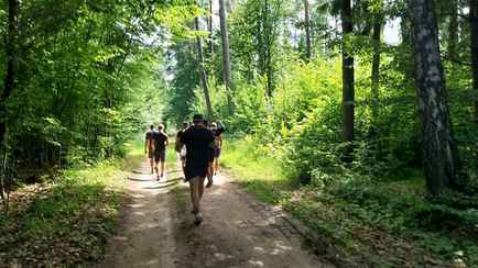 «Боятся за свою безопасность» — Поляки начали организовывать «прогулки» в приграничные с Беларусью леса. Зачем?