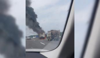 На видео попало, как на трассе Минск-Брест загорелся грузовик