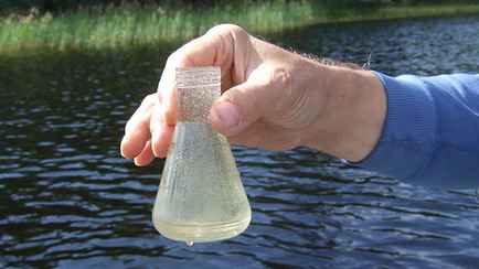 Санэпидемслужба ограничила купание в трёх областях Беларуси. Куда лучше не совать нос?