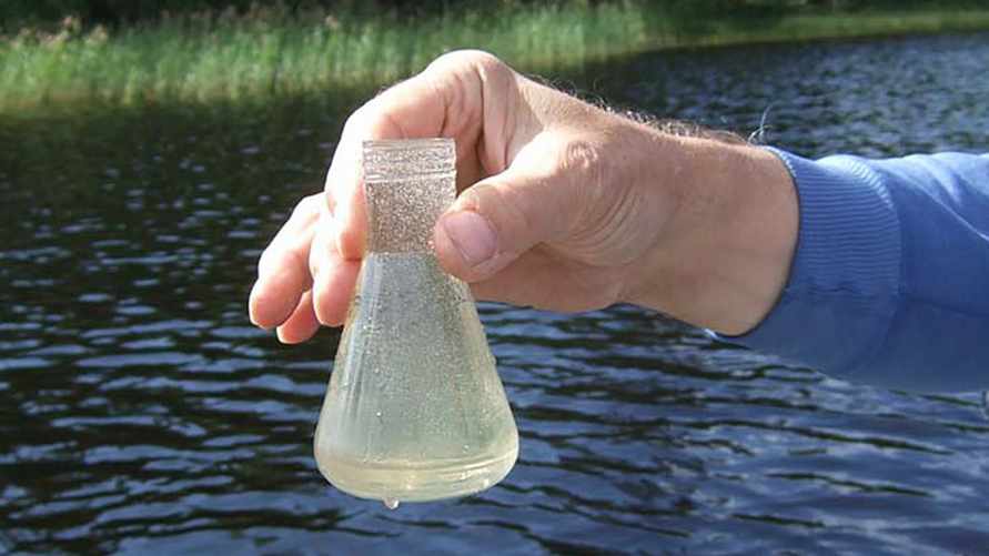 Санэпидемслужба ограничила купание в трёх областях Беларуси. Куда лучше не совать нос?