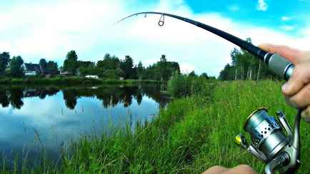 В Дятловском районе рыбак поймал редкую рыбу из Северной Америки. Что за она?