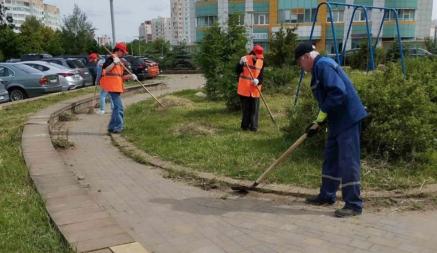 В ЖКХ Минска раскрыли зарплаты студентов из студотрядов на лето 2024 года. Сколько максимум?