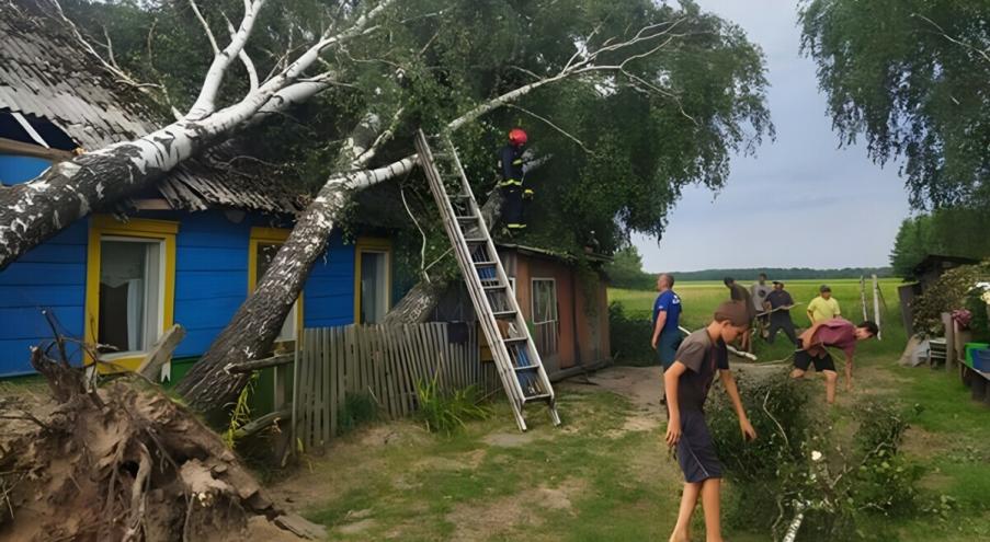 «В связи с большим количеством заявок и своевременным