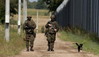 Еврокомиссар призвал Польшу соблюдать права человека на границе с Беларусью