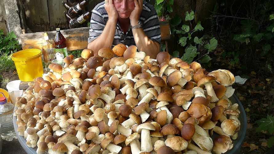 Фото иллюстрационное