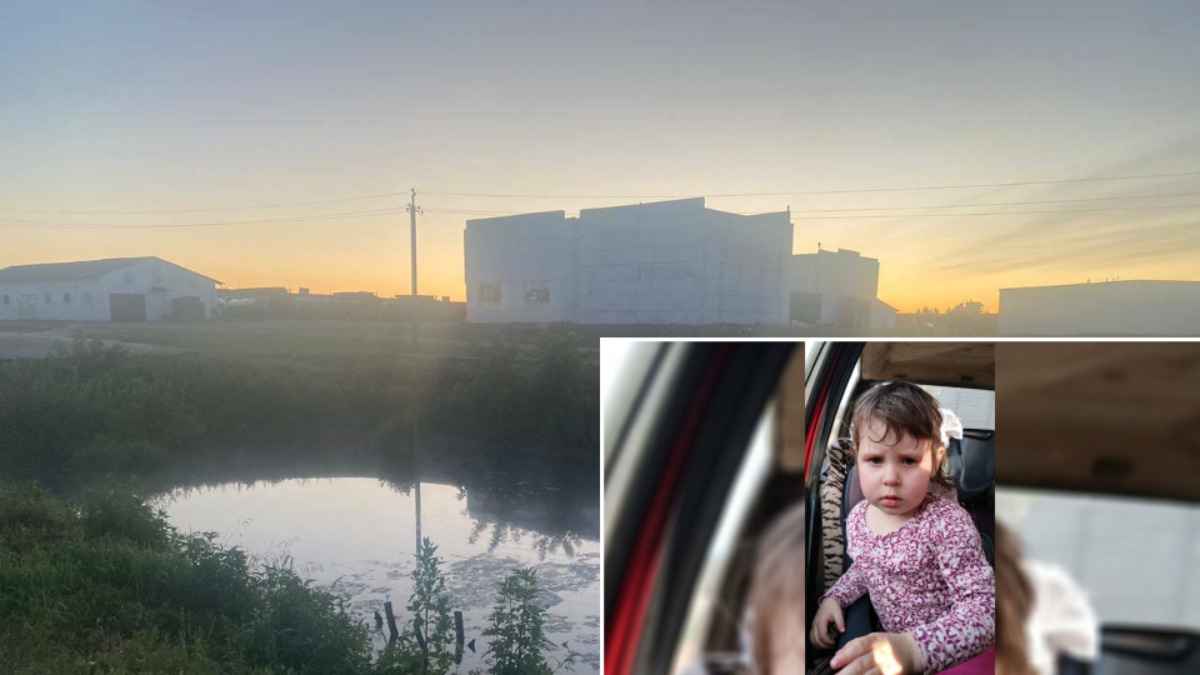 На Брестчине нашли тело пропавшей 4-летней девочки