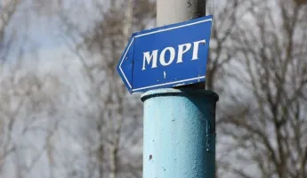 Одна надпись может «отправить в морг». В МВД предупредили об опасном для белорусов бизнесе