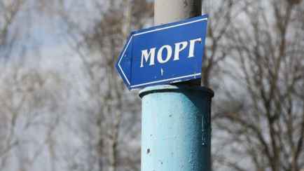 Одна надпись может «отправить в морг». В МВД предупредили об опасном для белорусов бизнесе