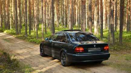 Мозырские пограничники призвали жителей региона сообщать об авто с иностранными номерами. В чем дело?