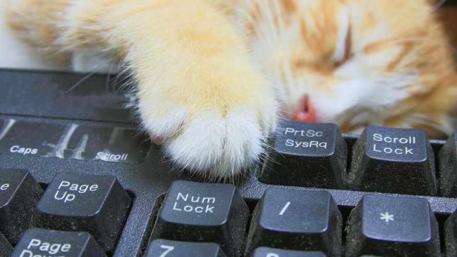 А вы знаете, зачем нужны эти 7 клавиш на клавиатуре? Insert и Tab будут полезны, а вот какие скоро исчезнут