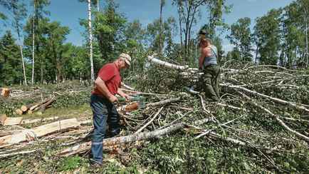 «Особенно этих дармоедов» — Лукашенко поручил привлечь к ликвидации последствий урагана «политзаключённых»
