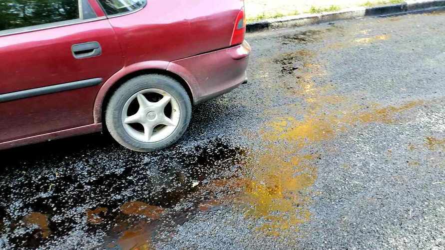 Фото: NewGrodno.by