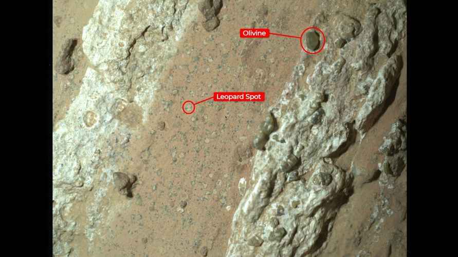 Похожие на пятна леопардa вкрапления особенно заинтересовали ученых. Изображение было получено инструментом WATSON на марсоходе НАСА Perseverance 18 июля.