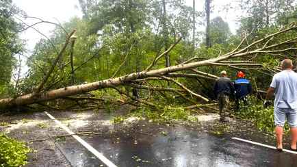 На Гомельщине благодаря урагану нашли «удивительную находку» XIX века