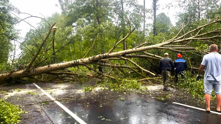 На Гомельщине благодаря урагану нашли "удивительную находку" XIX века