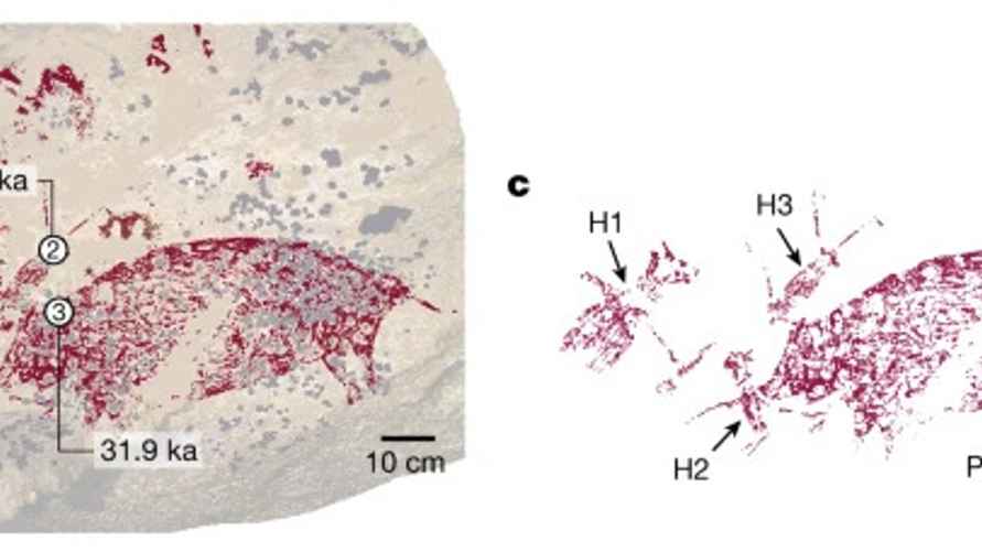 Прорисовка изображения, с найденным изображением сцены, показывающей человекоподобные фигуры (H1, H2 и H3), взаимодействующие со свиньей. Фото: Nature