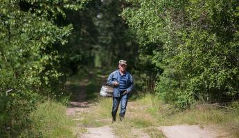 «Зона повышенной опасности» — Минлесхоз призвал белорусов не ходить в леса ближайшие недели