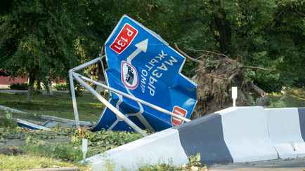 Жителям Гомельщины дали 10 дней, чтобы пожаловаться на последствия урагана. Куда звонить?