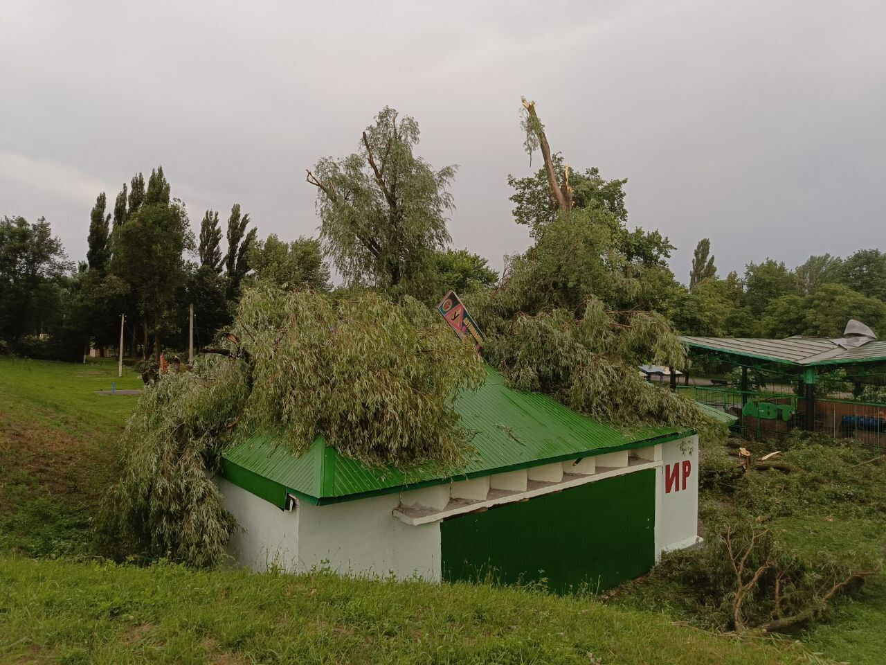 "Через пару часов пришло осознание, что всё серьёзно" — Поговорили с мозырянами, как справлялись без воды, света и связи почти три дня