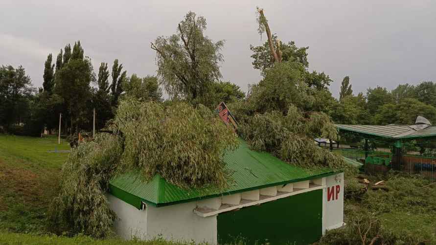 Последствия урагана в парке "Победа" 14 июля. Фото: Telegraf.news