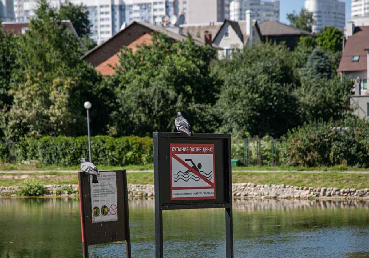 Фото иллюстрационное