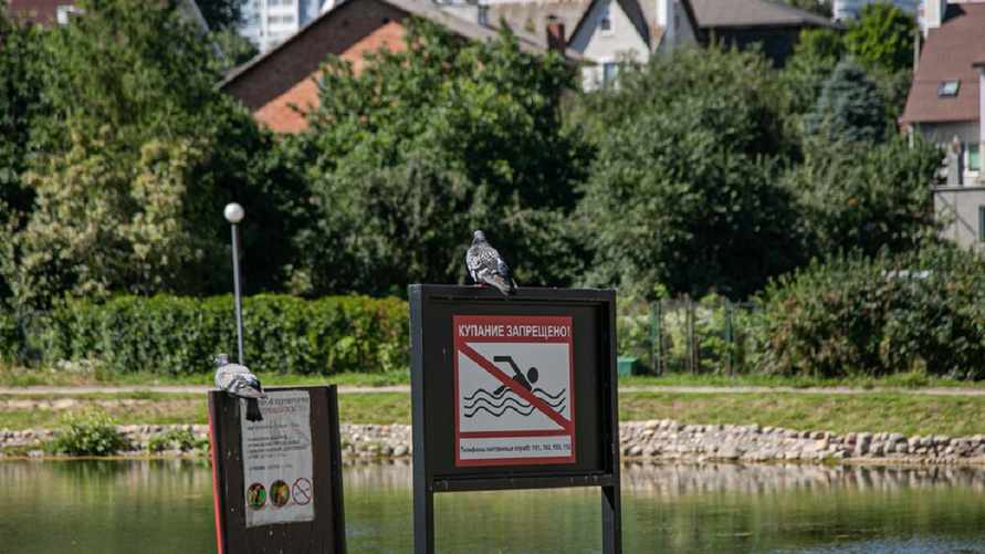 Фото иллюстрационное