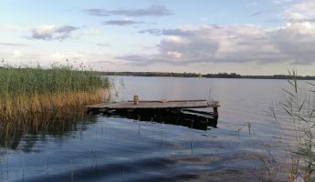 На Браславщине рыбак пытался спасти кормушку и утонул