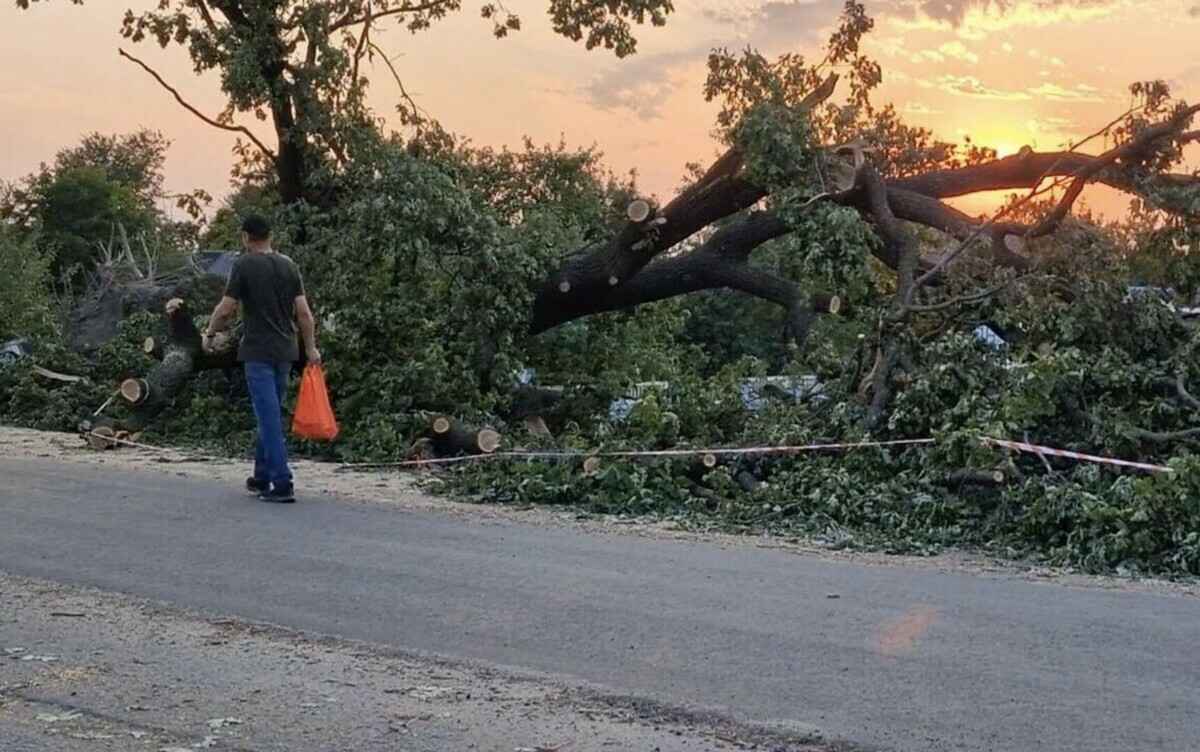 Лукашенко поручил чиновникам привлечь белорусов к устранению "захламленности" после урагана. Когда?