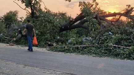 Лукашенко поручил чиновникам привлечь белорусов к устранению «захламленности» после урагана. Когда?