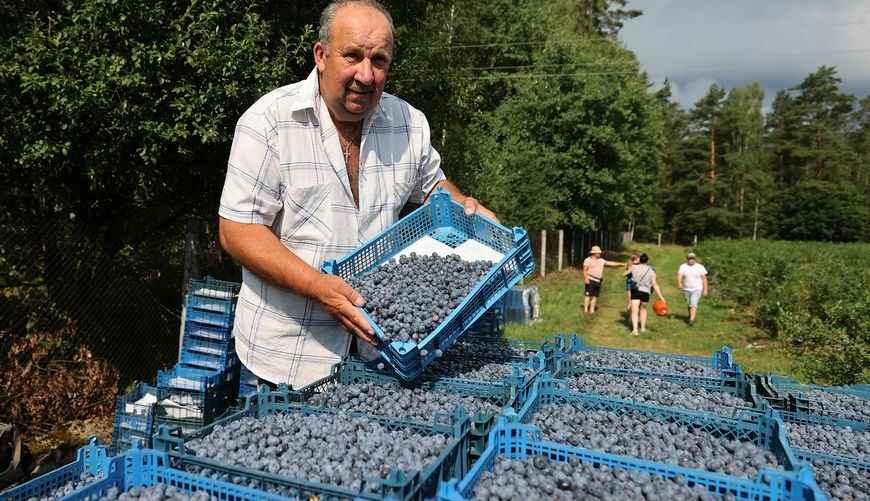 Фото: агентство БелТА