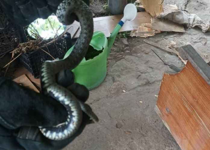 Фото: Брестское областное управление МЧС