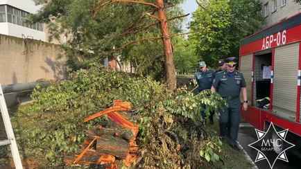 На Гомельщине сняли режим чрезвычайной ситуации