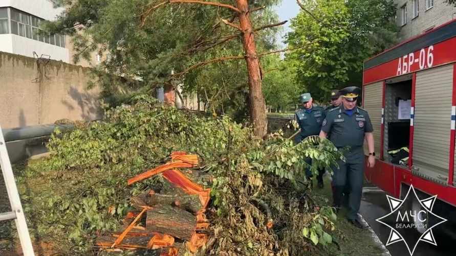 Скриншот видео МЧС