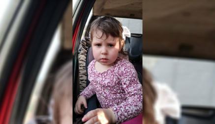 На Брестчине 4-летняя девочка тайком ушла из дома. Милиция и МЧС объявили поисковую операцию