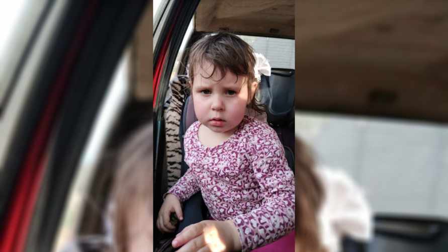 На Брестчине 4-летняя девочка тайком ушла из дома. Милиция и МЧС объявили поисковую операцию