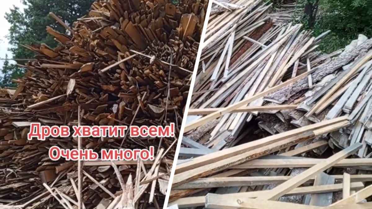 "Набираем, сколько хотим" - Белорус предложил бесплатные трехметровые дрова. Где такая щедрость?