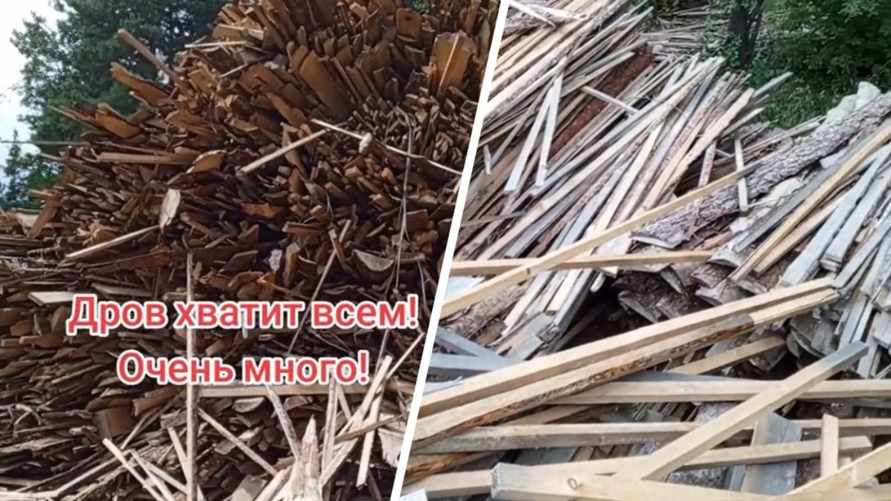 "Набираем, сколько хотим" - Белорус предложил бесплатные трехметровые дрова. Где такая щедрость?