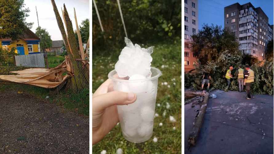 Град с куриное яйцо, вырванные с корнем деревья, остановившиеся поезда. Беларусь пережила шторм-«апокалипсис»