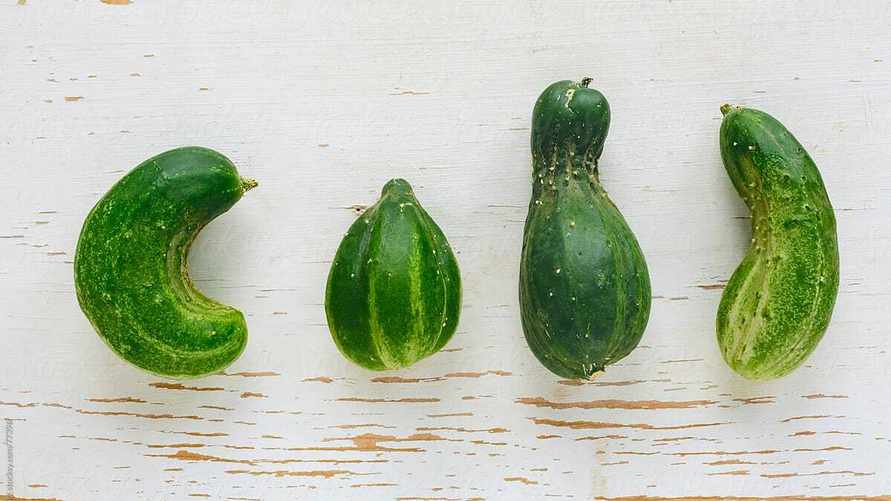 Фото иллюстрационное