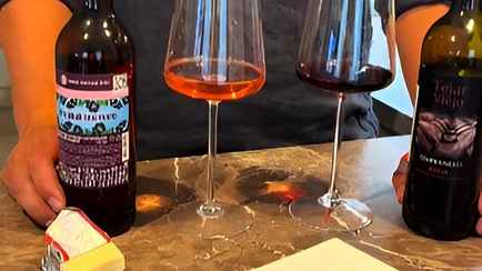 «Понял, почему каждое утро сомелье стоят» — Блогер сравнил белорусское и испанское вино. Вывод подписчиков обескуражил