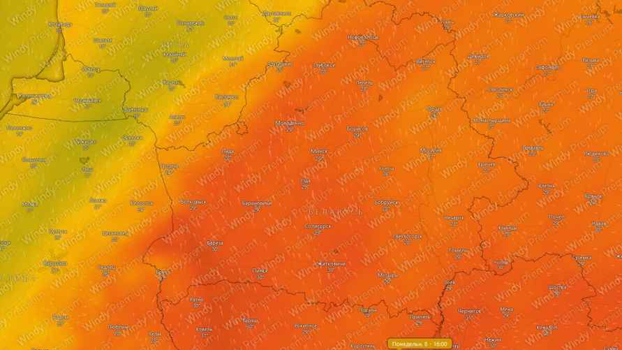 Прогноз температурных максимумов 8 июля 2024 г. / Windy.com